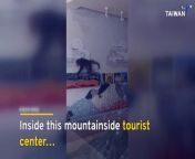 A mountainside tourist center in Taiwan had to temporarily shut down until a playful, hairy visitor could be caught and released back into the wild.