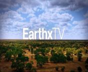 EarthX Website: https://earthxmedia.com/&#60;br/&#62;&#60;br/&#62;A look into a Mozambican anti-poaching unit&#39;s gritty world. Perilous patrols, family balance, and poacher pursuits shine a personal light on wildlife crime and its solutions.&#60;br/&#62;&#60;br/&#62;EarthX&#60;br/&#62;Love Our Planet.&#60;br/&#62;The Official Network of Earth Day.&#60;br/&#62;&#60;br/&#62;&#60;br/&#62;About Us:&#60;br/&#62;At EarthX, we believe our planet is a pretty special place. The people, landscapes, and critters are likely unique to the entire universe, so we consider ourselves lucky to be here. We are committed to protecting the environment by inspiring conservation and sustainability, and our programming along with our range of expert hosts support this mission. We’re glad you’re with us.&#60;br/&#62;&#60;br/&#62;EarthX is a media company dedicated to inspiring people to care about the planet. We take an omni channel approach to reach audiences of every age through its robust 24/7 linear channel distributed across cable and FAST outlets, along with dynamic, solution oriented short form content on social and digital platforms. EarthX is home to original series, documentaries and snackable content that offer sustainable solutions to environmental challenges. EarthX is the only network that delivers entertaining and inspiring topics that impact and inspire our lives on climate and sustainability.&#60;br/&#62;&#60;br/&#62;EarthX Website: https://earthxmedia.com/&#60;br/&#62;&#60;br/&#62;Follow Us:&#60;br/&#62;Instagram: https://www.instagram.com/earthxtv/&#60;br/&#62;LinkedIn: https://www.linkedin.com/company/earthxtv&#60;br/&#62;Facebook: https://www.facebook.com/earthxtv&#60;br/&#62;&#60;br/&#62;How to watch: &#60;br/&#62;&#60;br/&#62;United States:&#60;br/&#62;Spectrum&#60;br/&#62;AT&amp;T U-verse (1267)&#60;br/&#62;DIRECTV (267)&#60;br/&#62;Philo&#60;br/&#62;FuboTV&#60;br/&#62;Plex&#60;br/&#62;&#60;br/&#62;&#60;br/&#62;United Kingdom &amp; Ireland:&#60;br/&#62;Sky (180)&#60;br/&#62;Freeview (79)&#60;br/&#62;&#60;br/&#62;&#60;br/&#62;Europe: M7&#60;br/&#62;&#60;br/&#62;Mexico: Claro &amp; Totalplay&#60;br/&#62;   &#60;br/&#62;#EarthDay #Environment #Sustainability #Eco-friendly #Conservation #EarthxTV #EarthX