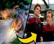 Largely forgotten moments from Star Trek that we&#39;d like to see a conclusion to.