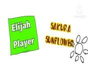Elijah Player\ Sakura Sunflower Music (Friday Night Music) from sakura kurumi