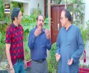 Bulbulay Season 2 Episode 246 20 April 2024 ARY Digital from bulbulay xxx pakistan drama