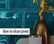 Return grout to its original whiteness with the best, expert-approved methods that banish mold and mildew without causing any damage
