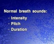 05 Normal Breath Sounds from normal abosan china
