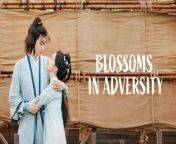 Blossoms in Adversity - Episode 25 (EngSub)