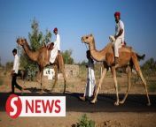 Voters in India&#39;s desert state of Rajasthan made the commute to polling stations on camelbacks, while election panels conducted door-to-door polls for elderly people in the neighbouring Gujarat state during the second phase of nationwide general elections on Friday (April 26). &#60;br/&#62;&#60;br/&#62;WATCH MORE: https://thestartv.com/c/news&#60;br/&#62;SUBSCRIBE: https://cutt.ly/TheStar&#60;br/&#62;LIKE: https://fb.com/TheStarOnline