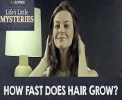 The most oft-quoted average rate of human hair growth is 6 inches (15 centimeters) per year. However, the majority of studies measuring the rate of hair growth didn&#39;t take into account the race of study participants.