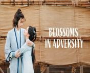 Blossoms in Adversity - Episode 33 (EngSub)