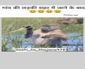 Animal funny video from indian village sex in nighty dressी चुदाई की विडियो हिन्द
