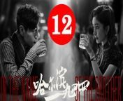 哈尔滨一九四四12 - In the Name of the Brother 2024 Ep12 Full HD from xin zhi lei