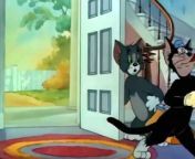 Tom And Jerry - 025 - Trap Happy (1946) S1940e25