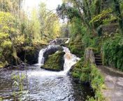 Buncrana’s stunning Swan Park is a major draw but did you know there is another equally stunning riverside walkway down a winding pathway off a main road?