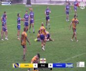 Dapto overcame the second-half sin-binning of ex-NRL forwards Joey Leilua and Tom Freebairn to snatch a 16-all draw late against Thirroul. Video: BarTV Sports