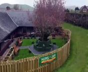 See the new garden helping care home residents with dementia from femdom garden slave