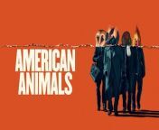 American Animals is a 2018 docudrama heist film written and directed by Bart Layton. Starring Evan Peters, Barry Keoghan, Blake Jenner, Jared Abrahamson, and Ann Dowd, it is an account of the Transylvania University book heist which took place at Transylvania University in Lexington, Kentucky in 2004.[4] The film cuts between interview segments of the real-life people involved in the heist and actors playing out the same events.