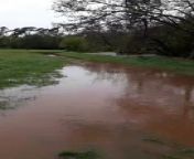 Attached vid of River Tone near Tonedale this morning. Credit Chris Penney. from naanga kasturi hot vid