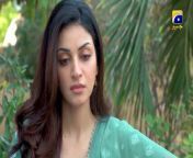 Shiddat Episode 28 Promo _ Tomorrow at 8_00 PM only on Har Pal Geo from only sex vidio download