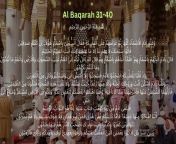 Enjoy the beautiful sound of singing Al Qur&#39;an&#60;br/&#62;Al Baqarah 31-40&#60;br/&#62;Hope this usefull for us&#60;br/&#62;&#60;br/&#62;Please subscribe, like and share being amal jariyah for us&#60;br/&#62;&#60;br/&#62;#arabic #alquran #lofi #moslem #islam #albaqarah #muslim