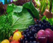 &#60;br/&#62;&#60;br/&#62;Unlocking the Power of Plants &#124;5 Irrefutable&#60;br/&#62; Reasons to Embrace a Plant-Based Diet Today&#60;br/&#62;&#60;br/&#62;As our society evolves, we are constantly facing the need to change our behaviors and habits to increase our health and quality of life. We are now facing climate change, and food insecurity and over 40% of our population is suffering from chronic disease.&#60;br/&#62;&#60;br/&#62;&#60;br/&#62;&#60;br/&#62;One of the recent ideas put forward to improve our world and health is plant-based nutrition. Even though food regimens are not something our doctor prescribes (yet), research is showing that food has a lot to contribute to our health. It is also a less costly option to our society than prescribing medication.&#60;br/&#62;&#60;br/&#62;&#60;br/&#62;&#60;br/&#62;Our understanding of plant-based eating may differ from one individual to another. In the world of nutrition, plant-based eating is having a large portion of one’s nutrition coming from vegetables, fruits, herbs, nuts, whole grains, and also include legumes or other plants.&#60;br/&#62;&#60;br/&#62;&#60;br/&#62;&#60;br/&#62;A spectrum of plant-based nutrition options is available to you. Some are very strict (vegan diet), others are still adding animal products like dairy (vegetarian), and at the other end of the spectrum are those that still eat meat, poultry, and fish on an occasional basis.&#60;br/&#62;&#60;br/&#62;&#60;br/&#62;&#60;br/&#62;We once believed that early humans consumed a large proportion of animal protein in their diet. It is from that belief that, in the 2000s, the Paleo diet (mainly comprised of animal protein) became popular in the world of nutrition and diet.&#60;br/&#62;&#60;br/&#62;&#60;br/&#62;&#60;br/&#62;Although, we now know that the nutrition of bipedal primates and Homo sapiens was primarily composed of nuts, fruits, leaves, roots, seeds, and water. In that case, the “original” Paleo Diet was plant-based eating.&#60;br/&#62;&#60;br/&#62;&#60;br/&#62;&#60;br/&#62;It is also linked to the fact that some of the strongest animals on Earth are not carnivores. The strongest mammal is the gorilla (most are herbivores). It can lift around 4409 lbs, which is 10 times its body weight. It would be like a 200 lb individual lifting 2000 lb.&#60;br/&#62;&#60;br/&#62;&#60;br/&#62;&#60;br/&#62;If other mammals can live a healthy and strong life on plant-based nutrition, we probably can too.&#60;br/&#62;&#60;br/&#62;&#60;br/&#62;&#60;br/&#62;Whether you want to save the animals, become healthier, or simply feel better, plant-based nutrition is a great option for those of us who want to be a better and healthier person.&#60;br/&#62;&#60;br/&#62;&#60;br/&#62;&#60;br/&#62;Choosing a plant-based nutrition doesn’t have to be a complex commitment. Not convinced yet? Here are the 5 reasons to start eating plant-based nutrition now:&#60;br/&#62;&#60;br/&#62;&#60;br/&#62;&#60;br/&#62;Improve your health&#60;br/&#62;&#60;br/&#62;In addition, an increased consumption of vegetables, grains, and beans will bring more fiber into your nutrition. It is recommended to consume from 25 g (women) to 38 g (men) of fiber daily. Unfortunately, we consume an average of 15 g daily.&#60;br/&#62;&#60;br/&#62;&#60;br/&#62;&#60;br/&#62;That is not enough for most of us and can hurt the bowels and cause constipation or hemorrhoids.&#60;br/&#62;&#60;br/&#62;&#60;br/&#62;&#60;br/&#62;According to research, an increased intake of fiber can also help prevent and reduce heart disease, diabetes, and colon cancer. Fiber is also known to reduce the blood cholesterol levels. For most Ameri