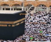 Almost 50 lakh pilgrims have arrived in Saudi Arabia!