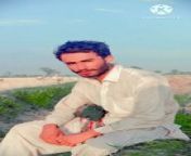 Sad poetry in Urdu from sad video xxxx 6