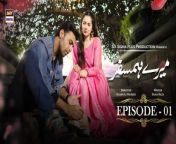 Mere Humsafar &#124; The Poetic Tale Of Hala &amp; Hamza&#60;br/&#62;&#60;br/&#62;Mere Humsafar is the life story of Hala, born to a Pakistani father and foreign mother who leaves them after her birth.&#60;br/&#62;&#60;br/&#62;Written By: Saira Raza&#60;br/&#62;&#60;br/&#62;Directed By: Qasim Ali Mureed&#60;br/&#62;&#60;br/&#62;Cast:&#60;br/&#62;&#60;br/&#62;Farhan Saeed ,&#60;br/&#62;Hania Aamir,&#60;br/&#62;Waseem Abbas,&#60;br/&#62;Aly Khan,&#60;br/&#62;Samina Ahmed,&#60;br/&#62;Saba Hameed&#60;br/&#62;Aamir Qureshi&#60;br/&#62;Tara Mehmood&#60;br/&#62;Zoya Nasir&#60;br/&#62;Umer Shehzad&#60;br/&#62;&#60;br/&#62;Timing:&#60;br/&#62;Mere Hamsafar Thursday,at 8:00 pm, only on ARY Digital.