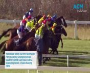 Associate takes out the Newhaven Park Country Championships Southern Wild Card race with a blistering finish. Vision Racing NSW