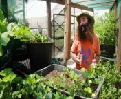 Gardening Australia 2024 episode 3 - In the captivating third episode of Gardening Australia for 2024, viewers are treated to a veritable cornucopia of horticultural delights and eco-friendly gardening practices that resonate with both amateur and experienced gardeners alike.