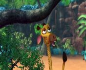 Funny cartoon video&#60;br/&#62;Animal play with each other in jungle they are so friendly