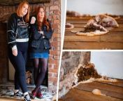 A pair of roommates decided to ditch their £1,300-a-month flat - after discovering huge MUSHROOMS growing through the floor.