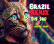 Brazil remix - Djs SRß Official