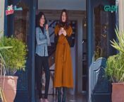 Pagal Khana Episode 22 Saba Qamar Sami Khan Presented By Nestle Milkpak & Ensure Green TV from kajol nadia saba