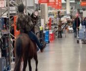 Jessylea Evans became the mane attraction at a B&amp;Q store the moment she entered riding her horse. &#60;br/&#62;&#60;br/&#62;She instantly rides out of the frame, planning to horse around a bit before heading to the exit. &#60;br/&#62;&#60;br/&#62;However, her funny experiment gets her on the wrong side of the staff members, who firmly believe that Jessylea entered the store intending to stirrup trouble. &#60;br/&#62;&#60;br/&#62;&#92;