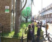 People come from near and far to see the fresh Banksy mural that has appeared in North London. Now claimed by the enigmatic street artist, Banksy’s latest work sits behind a leafless tree. The mural shows a person under streaks of green paint, that when looked at from afar, looks like the tree’s missing foliage. The mural has appeared on the side of a building off Hornsey Road in the Finsbury Park area of Islington.