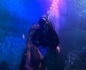 Birmingham’s National Sea Life Centre undergoes spring cleaning from naked attraction season 9