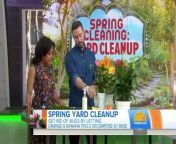 Matt Bean of Men’s Health magazine joins TODAY with ingenious tips on how to get your lawn and garden ready for warmer weather with a minimum of effort.