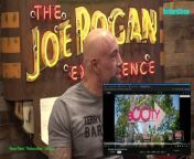 The Joe Rogan Experience Video - Episode latest update&#60;br/&#62;Andrew Schulz is a stand-up comic, actor, and podcaster. He&#39;s the host of the &#92;