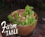 Aired (April 7, 2024): Chef JR Royol teaches us a technique to maximize the flavors we can get from our shrimp in order to make a Shrimp Basil Salad!