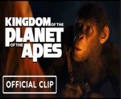Check out this Kingdom of the Planet of the Apes clip for the upcoming action-adventure movie starring Freya Allan, William H. Macy, Dichen Lachman, Kevin Durand, Owen Teague, Peter Macon, and Travis Jeffery.&#60;br/&#62;&#60;br/&#62;Director Wes Ball breathes new life into the global, epic franchise set several generations in the future following Caesar’s reign. Apes are the dominant species living harmoniously with one another and humans have been reduced to living in the shadows. As a new tyrannical ape leader builds his empire, one young ape will undertake a harrowing journey that will cause him to question all that he has known about the past and to make choices that will define a future for apes and humans alike.