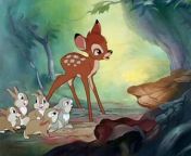 Bambi is a 1942 American animated drama film produced by Walt Disney Productions and released by RKO Radio Pictures. It is based on the 1923 novel Bambi, a Life in the Woods by Austrian author and hunter Felix Salten. The film was produced by Walt Disney and directed by David Hand and a team of sequence directors.&#60;br/&#62;The main characters are Bambi, a white-tailed deer; his parents (the Great Prince of the forest and his unnamed mother); his friends Thumper (a pink-nosed rabbit); and Flower (a skunk); and his childhood friend and future mate, Faline. In the original book, Bambi was a roe deer, a species native to Europe; but Disney decided to base the character on a mule deer from Arrowhead, California. Illustrator Maurice &#92;