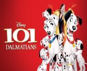 One Hundred and One Dalmatians (also simply known as 101 Dalmatians) is a 1961 American animated adventure comedy film produced by Walt Disney Productions with distribution by Buena Vista Distribution. Based on Dodie Smith&#39;s 1956 novel The Hundred and One Dalmatians, the film was directed by Hamilton Luske, Clyde Geronimi, and Wolfgang Reitherman with a script written by Bill Peet. With the voices of Rod Taylor, J. Pat O&#39;Malley, Betty Lou Gerson, Martha Wentworth, Ben Wright, Cate Bauer, David Frankham, and Frederick Worlock, the film&#39;s plot follows a litter of fifteen Dalmatian puppies, who are kidnapped by the obsessive heiress Cruella de Vil, wanting to make their fur into coats. Their parents, Pongo and Perdita, set out to save their puppies from Cruella, in the process rescuing eighty-four additional ones, bringing the total of Dalmatians to one hundred and one.
