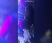 Disappointing video of Charlotte the pregnant virgin stingray from charlotte syvilia