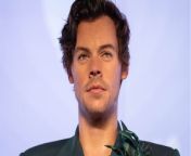 Harry Styles's stalker sent him 8000 cards in a month and is now in jail: Who is Myra Carvalho? from watch saree on spankbang now naari saree naari magazine porn spankbang kk39ee