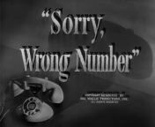 Synopsis: Leona Stevenson is confined to bed and uses her telephone to keep in contact with the outside world. One day she overhears a murder plot on the telephone and is desperate to find out who is the intended victim.&#60;br/&#62;Genre: Mystery, Thriller&#60;br/&#62;Director: Anatole Litvak&#60;br/&#62;Top cast: Barbara Stanwyck, Burt Lancaster, Ann Richards, Wendell Corey, Harold Vermilyea, Ed Begley, Leif Erickson