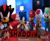 Sonic Meets Shadow The Hedgehog &#60;br/&#62;