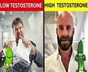 Discover the essential roles of testosterone in men&#39;s health with our expert breakdown. From its impact on reproductive organs to its influence on muscle mass, libido, and cognitive function, learn why testosterone is crucial for overall well-being. Dive into the science behind sperm production, muscle development, bone density, and more. Whether you&#39;re seeking insights on hormonal balance or tips for optimizing testosterone levels, this video has you covered. Watch now to understand the importance of testosterone and its effects on male health.&#60;br/&#62;