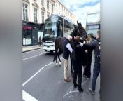 &#60;p&#62;A member of the public, posting on TikTok, captured footage of the black cavalry horse, which had charged through London after being spooked by noise, being stroked and calmed down by members of the public after it finally stopped.&#60;/p&#62;