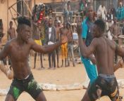 The Dambe sport is more than just a fist fight, it is deeply rooted in the tradition of the Northerners of Nigeria. The sport has caught the attention of the federal government, but Jibrin Inuwa Baba, a kickboxing champion calls for the modernization of the risky game while upholding the culture that binds the people.