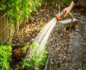 Setting up the right watering schedule for your flower beds is the key to a showstopping yard.