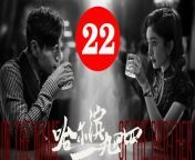 哈尔滨一九四四22 - In the Name of the Brother 2024 Ep22 Full HD from 哈宝