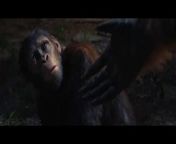 KINGDOM OF THE PLANET OF THE APES Final Tráiler (2024) Freya Allan, William H. Macy, Planet of the Apes 4&#60;br/&#62;